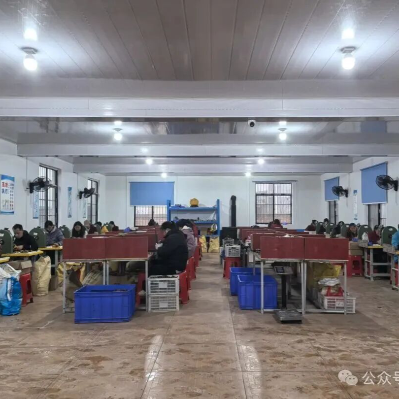 3个月，闲置场地变厂房！岳阳县这个村被“盘活”了