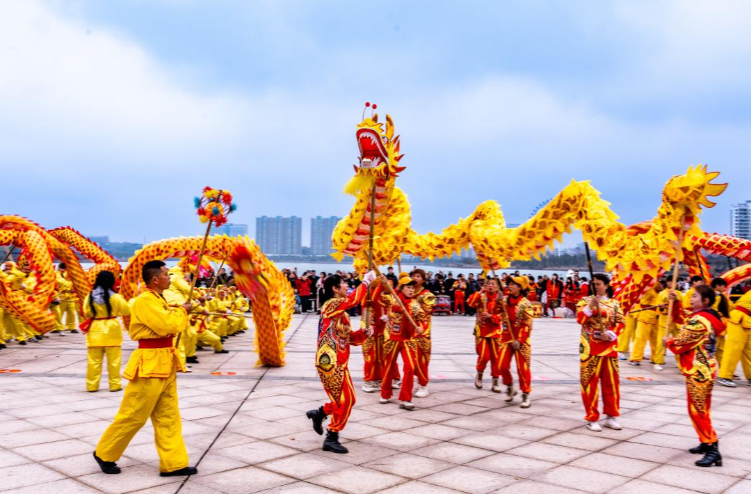 “衡”有年味|金龙翻飞迎新春！珠晖区酃湖乡举行2026年新春舞龙巡游活动