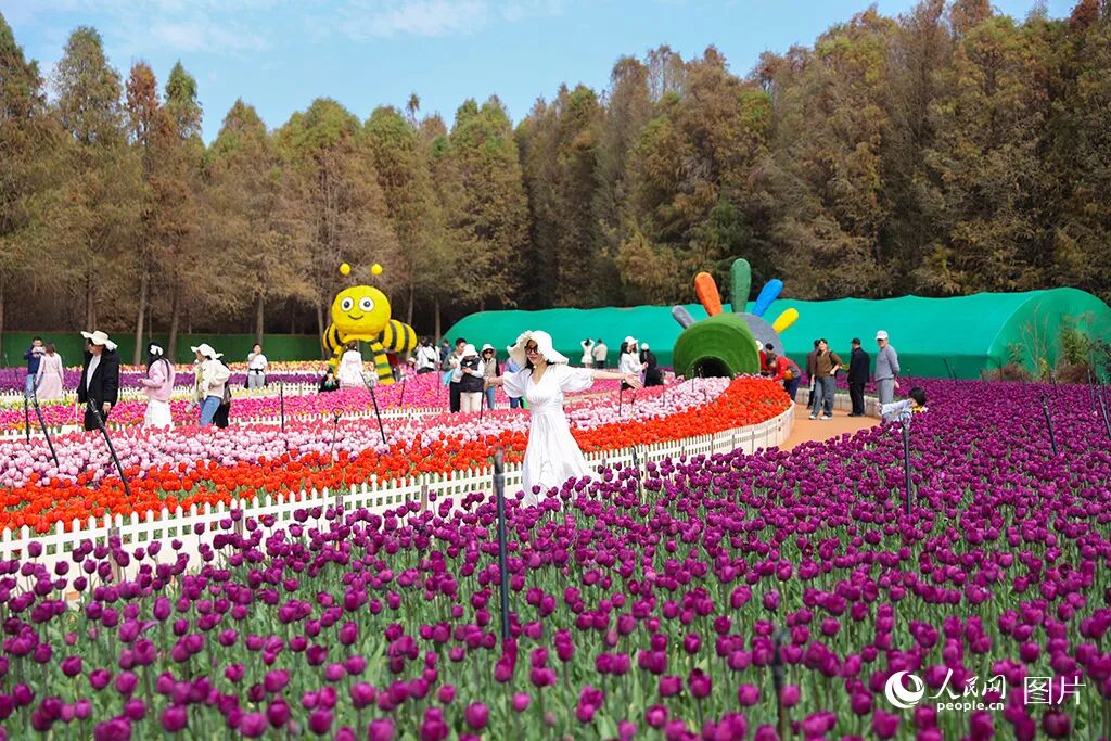 春节期间，云南昆明捞渔河国家湿地公园内百万株郁金香迎来盛花期，红、粉、紫等各色花朵连片绽放，交织成绚丽花海，为新春佳节增添了浓浓春意，成为市民游客休闲打卡的热门去处。人民网记者 李发兴摄