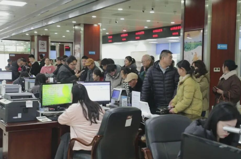 安乡：春节后首个工作日 政务服务高效运行