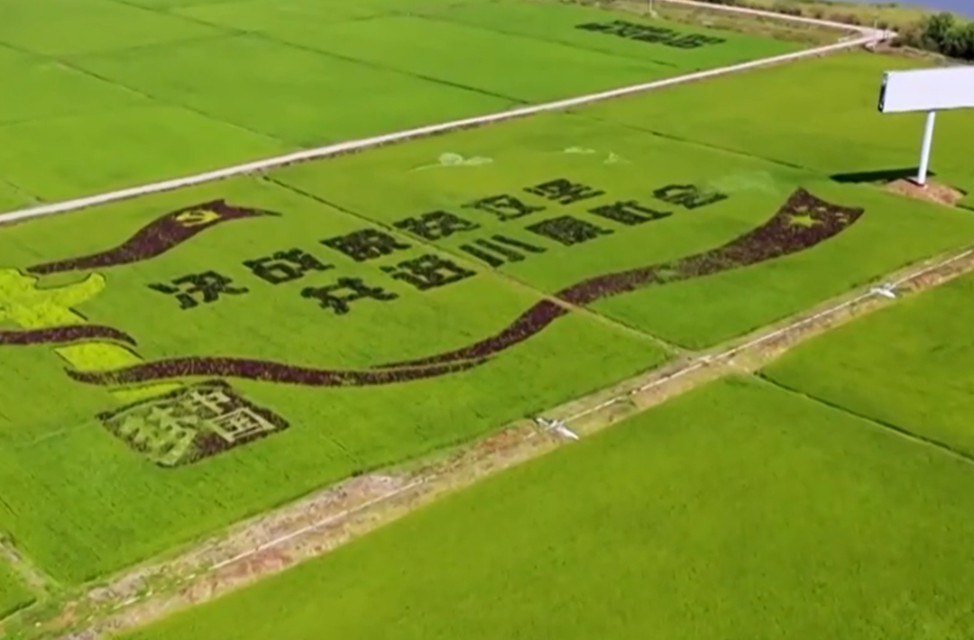 【新思想引领新征程·非凡“十四五”】持续巩固拓展脱贫攻坚成果 扎实推进乡村全面振兴