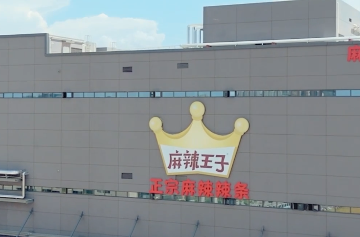 湖南麻辣王子食品有限公司董事长张玉东：深耕平江，扎根岳阳，为建设“1+3+X”现代化产业体系贡献更多民企力量！