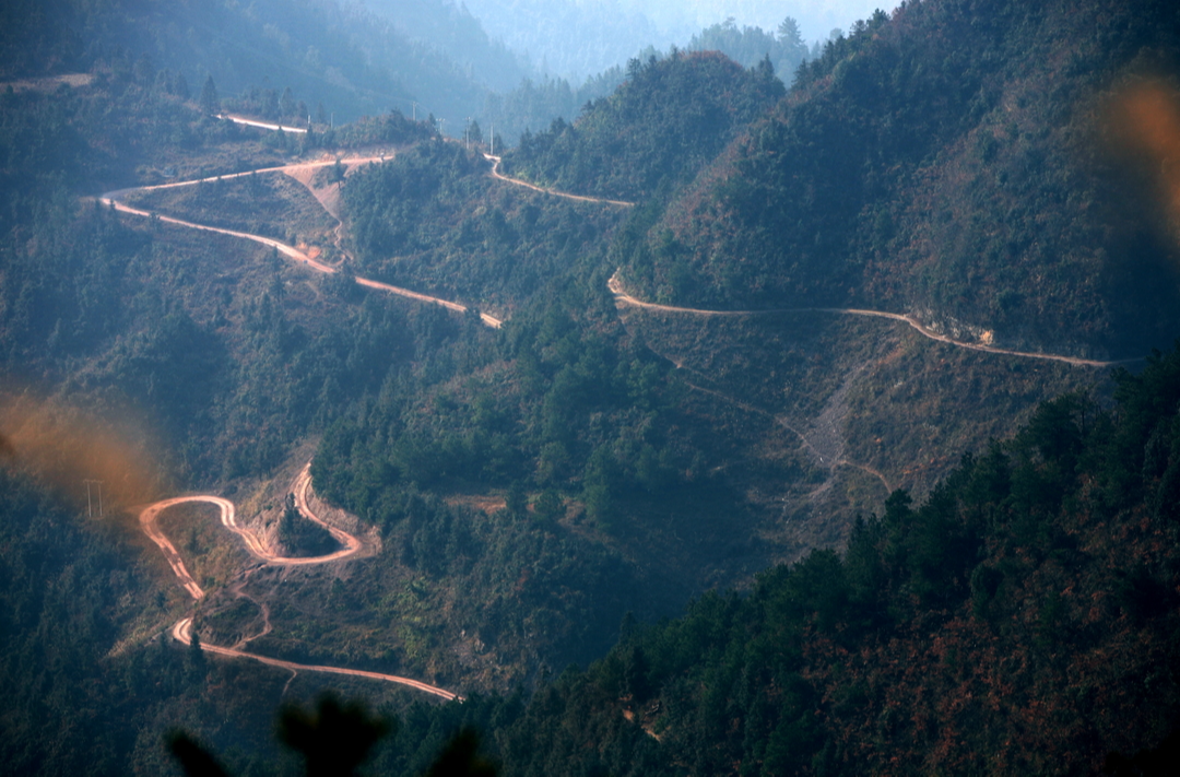 散文｜吴建勇：灵魂的来处与归途—— 张永中与他的“亮坨”