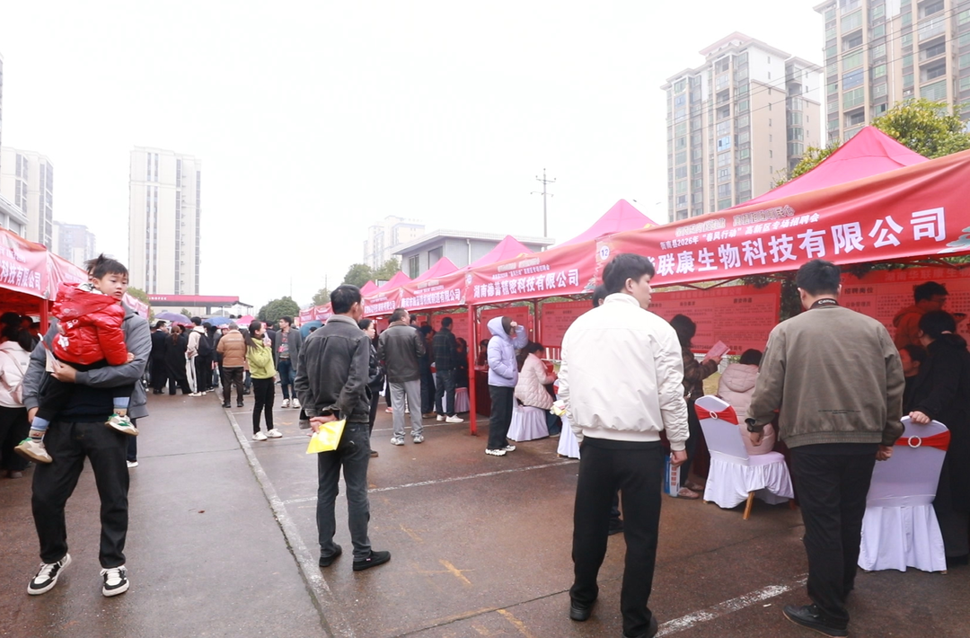 家门口找好工作！衡南“春风行动”招聘会线上线下超2万人参与