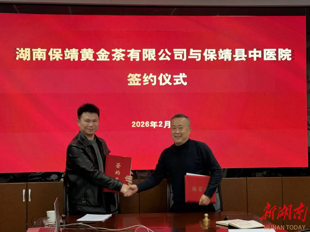 保靖黄金茶开启茶药同源新赛道