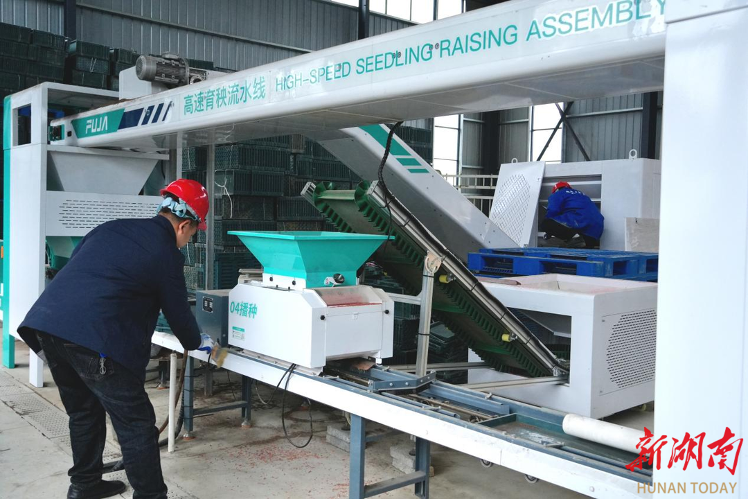 桃江：“早”字当先，春耕“马达”已全开