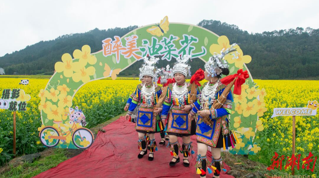 图片新闻 | 侗乡花海迎客来