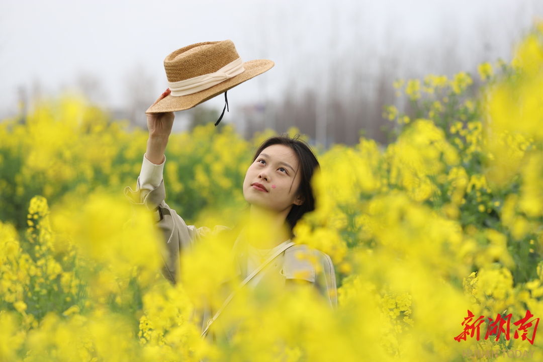 来大通湖，在这片13万亩的金色花海里私享整个春天
