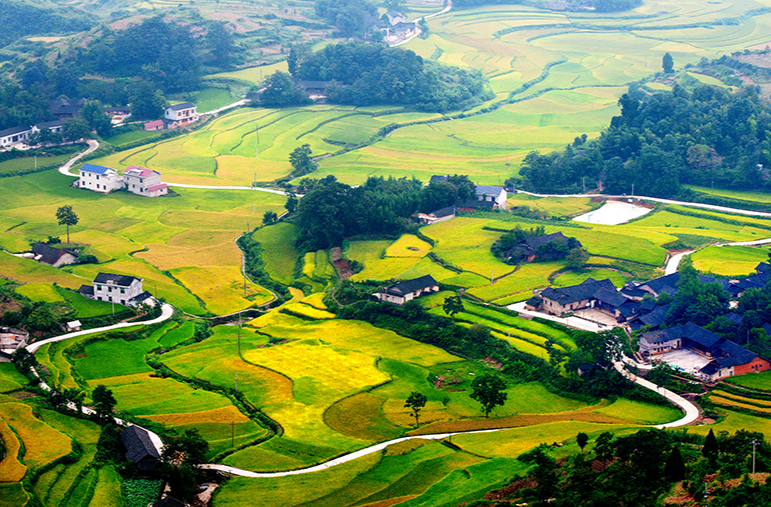 诗歌｜魏芳柏：老屋（外二首）
