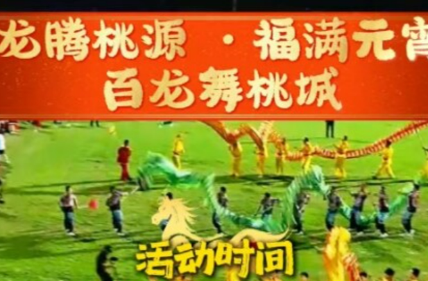 常德元宵节去哪儿闹⑥丨桃源元宵喜乐会承包你整天的快乐