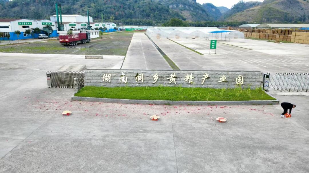 新晃黄精获两项国家级有机产品认证