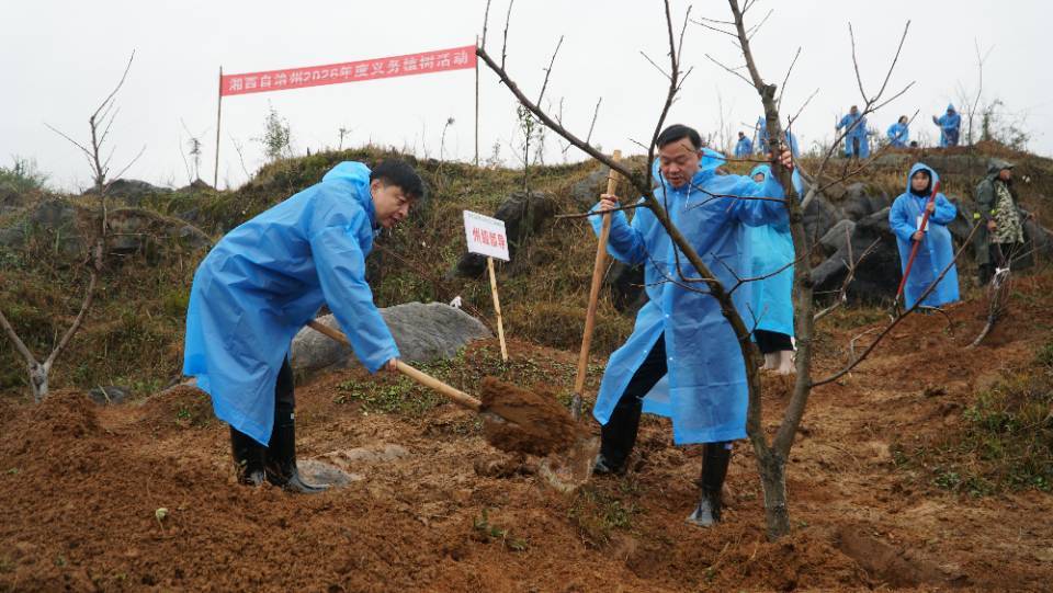 “植”此青绿——湘西州2026年度全民义务植树在花垣举行