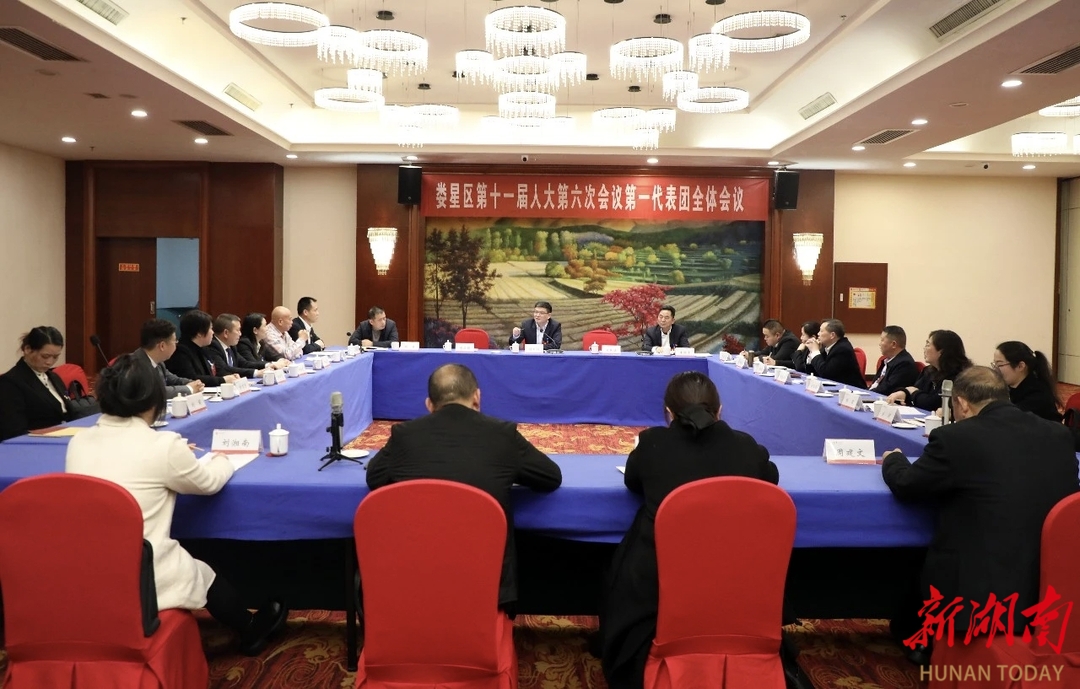 刘志刚参加娄星区十一届人大六次会议第一代表团审议 - 娄底 - 新湖南