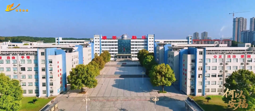 临澧：县域教育的“突围”与蝶变