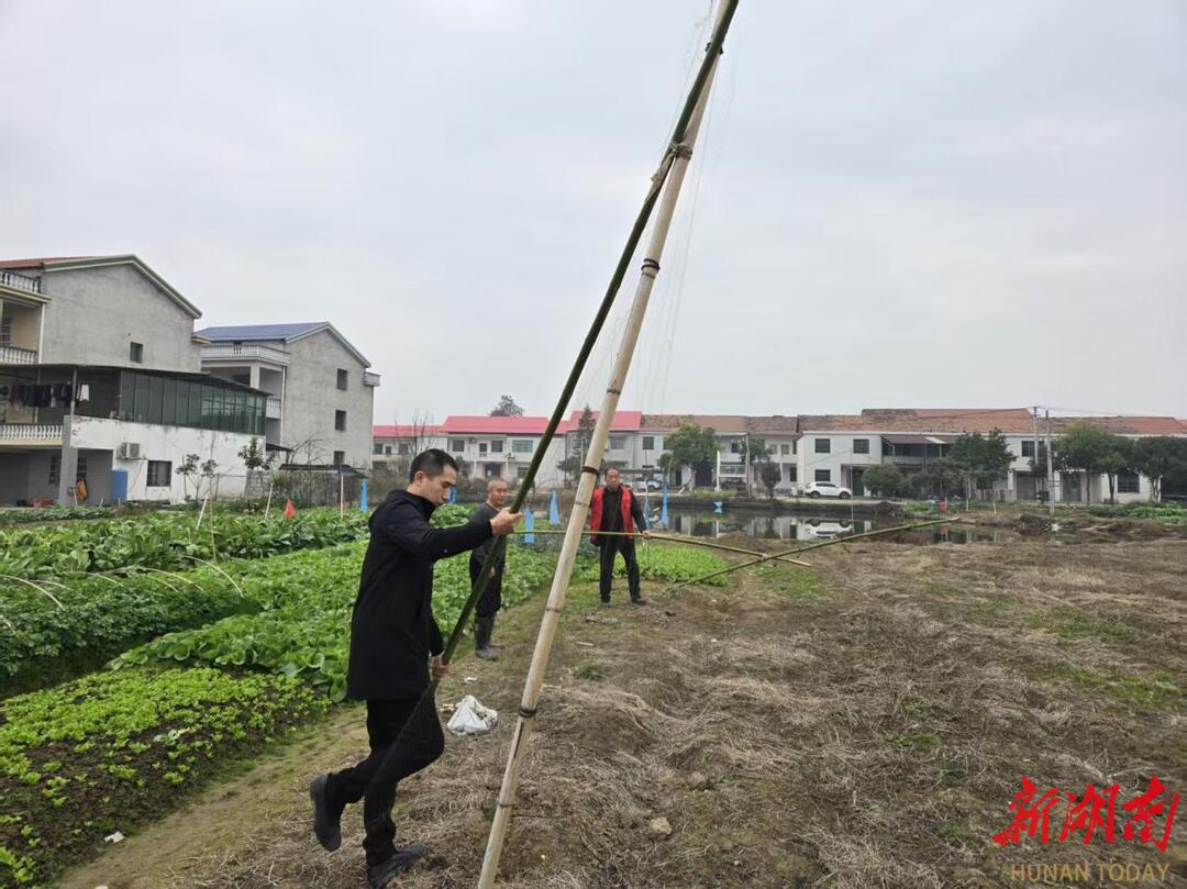 珠晖区：开展“清网护鸟”行动 共绘和谐生态画卷