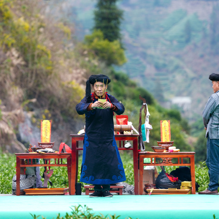 敬茶祖、赏百狮、品新茶！这场茶旅盛宴太热闹