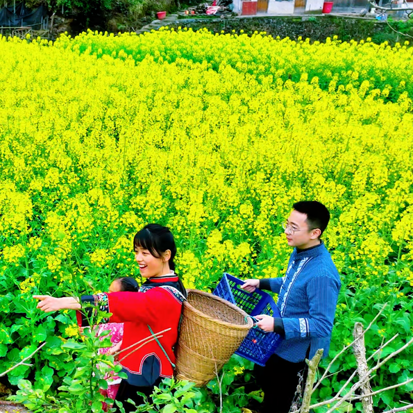 视频｜你吃过吗？这碗羊肚菌炖土鸡，炖出百姓幸福味~