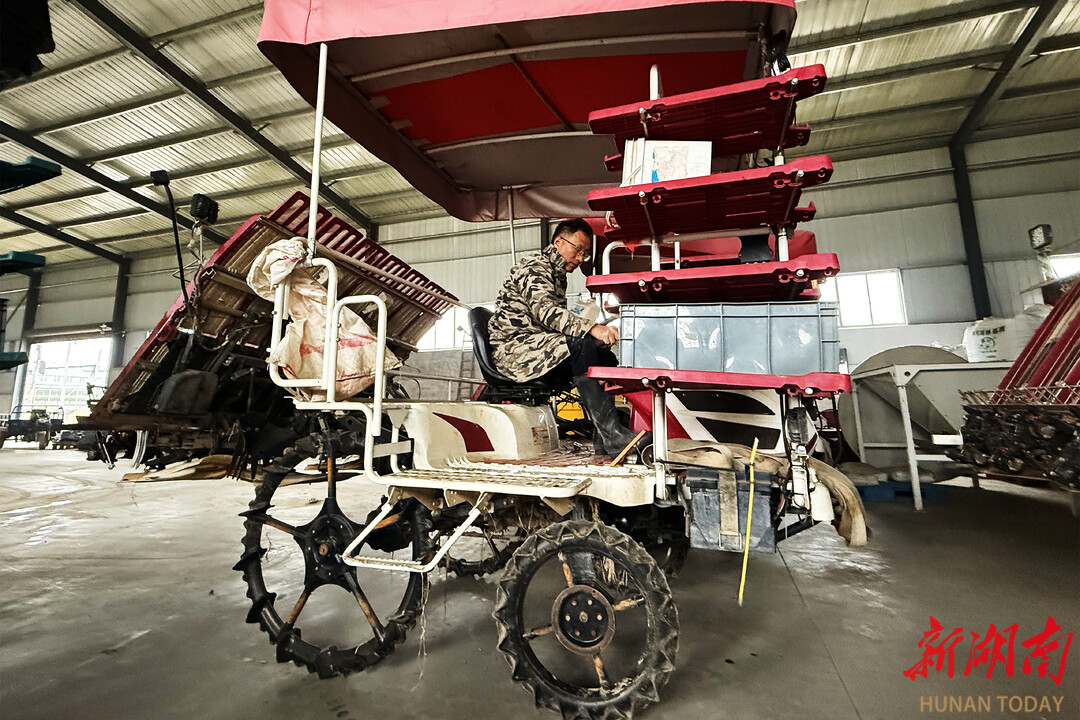 常德今年粮食播种目标面积883万亩 