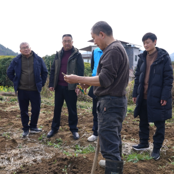 你知道什么是五倍子吗？这场“座谈签约+教学”活动干货满满