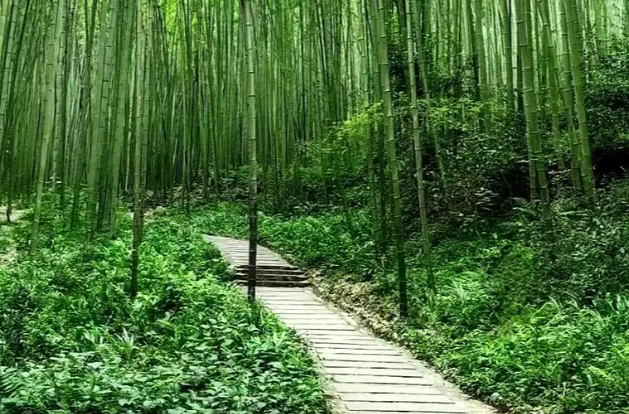 【開局八好 乘勢而上】雙牌竹企趕訂單