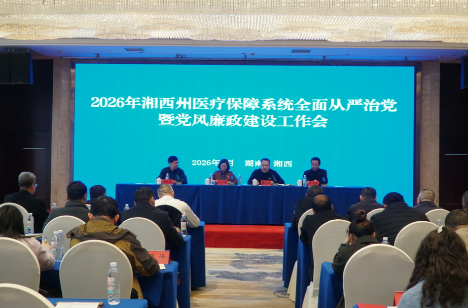 铁纪护航湘西州医保事业高质量发展