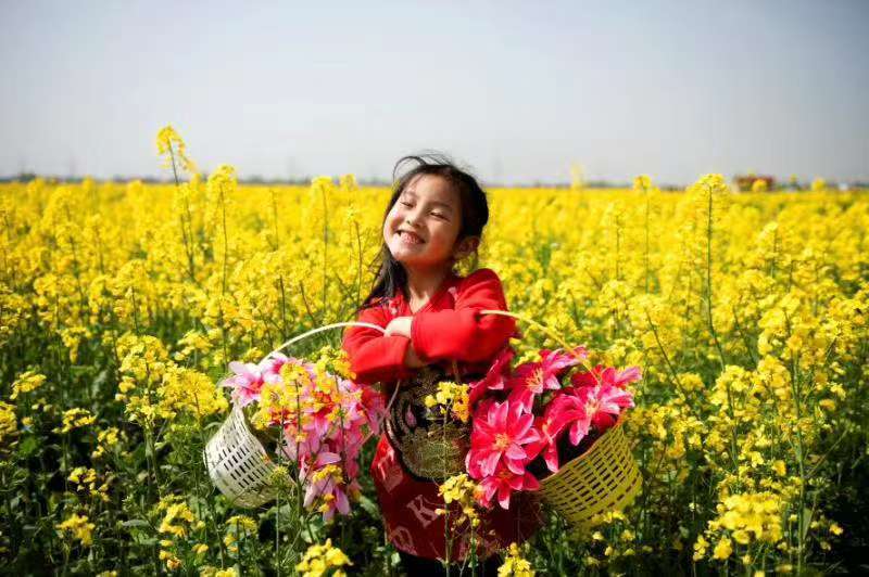 邀你共赴春天！临湘市第七届江南油菜花节3月11日启幕