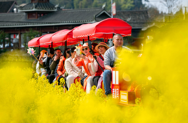 会同堡子镇：又是一年东风至 油菜花海醉游人
