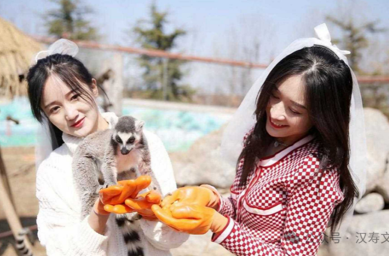 女神专属！汉寿“三八”节优惠+游玩路线，这篇全搞定→