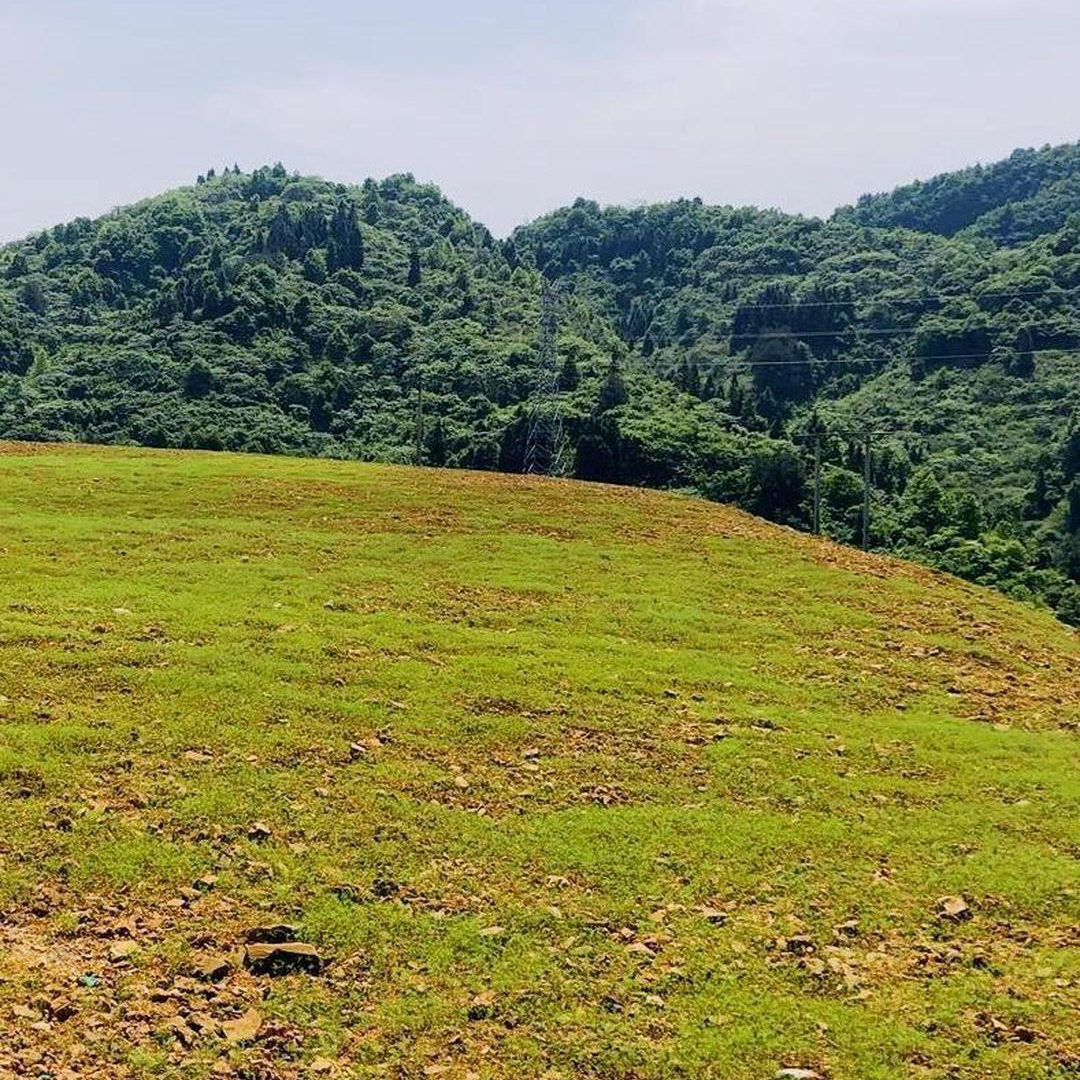 散文｜风携春来