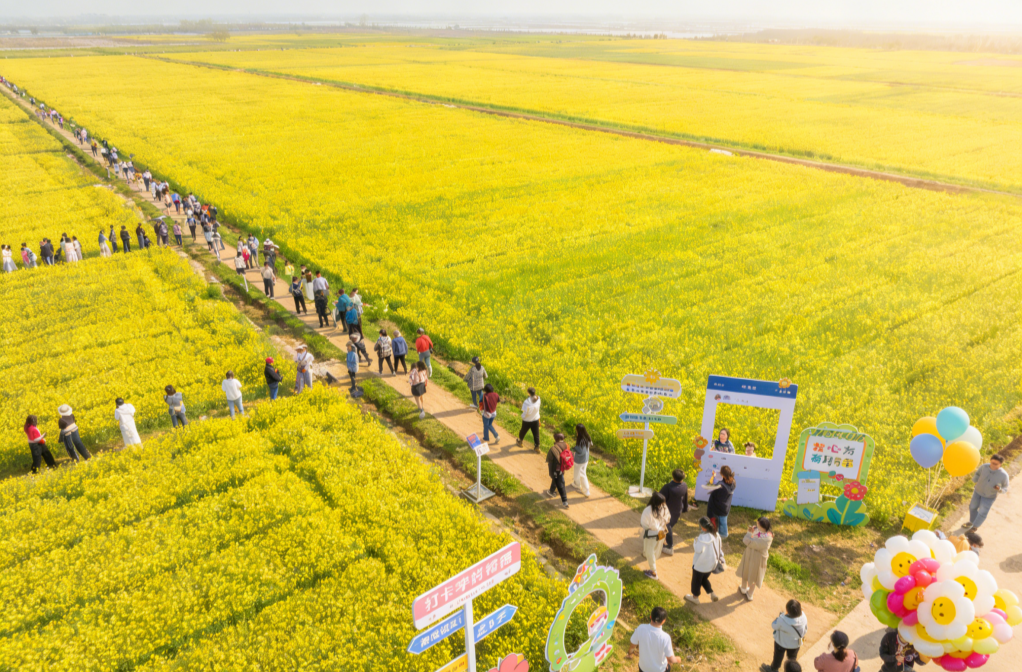 岳阳这处秘境藏不住了！3000亩金色花海+百年文脉宝塔，3月10日全城疯狂打卡！