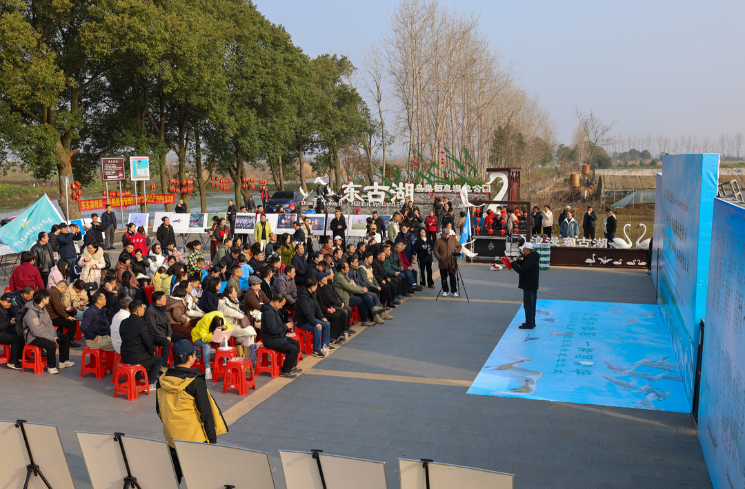 雁飞高兮邈难寻