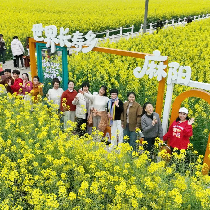 油菜花海“乘风破浪” 麻阳田园诗画里藏着乡村振兴的春天 