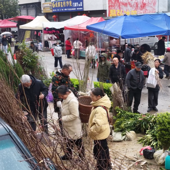 春天一到，这个集市热闹了！全是来买苗的……