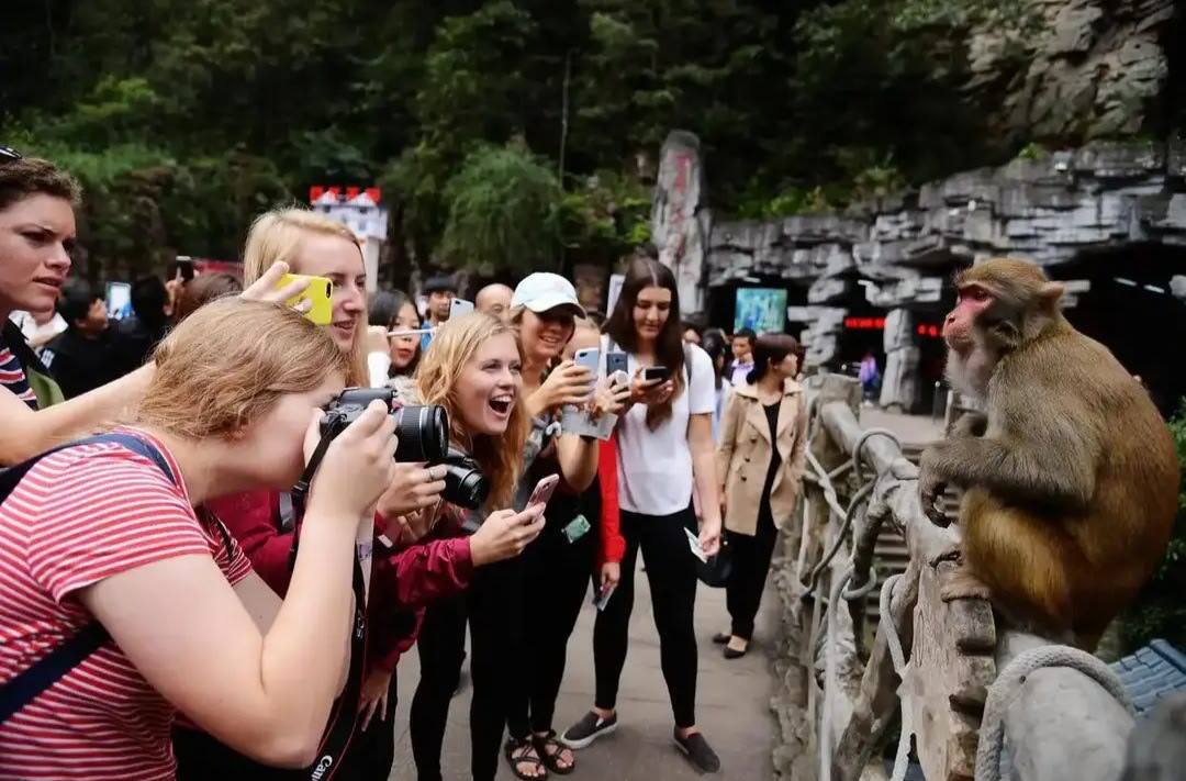 芙蓉国评论｜外国游客热衷“成为中国人”是世界投出的信任票