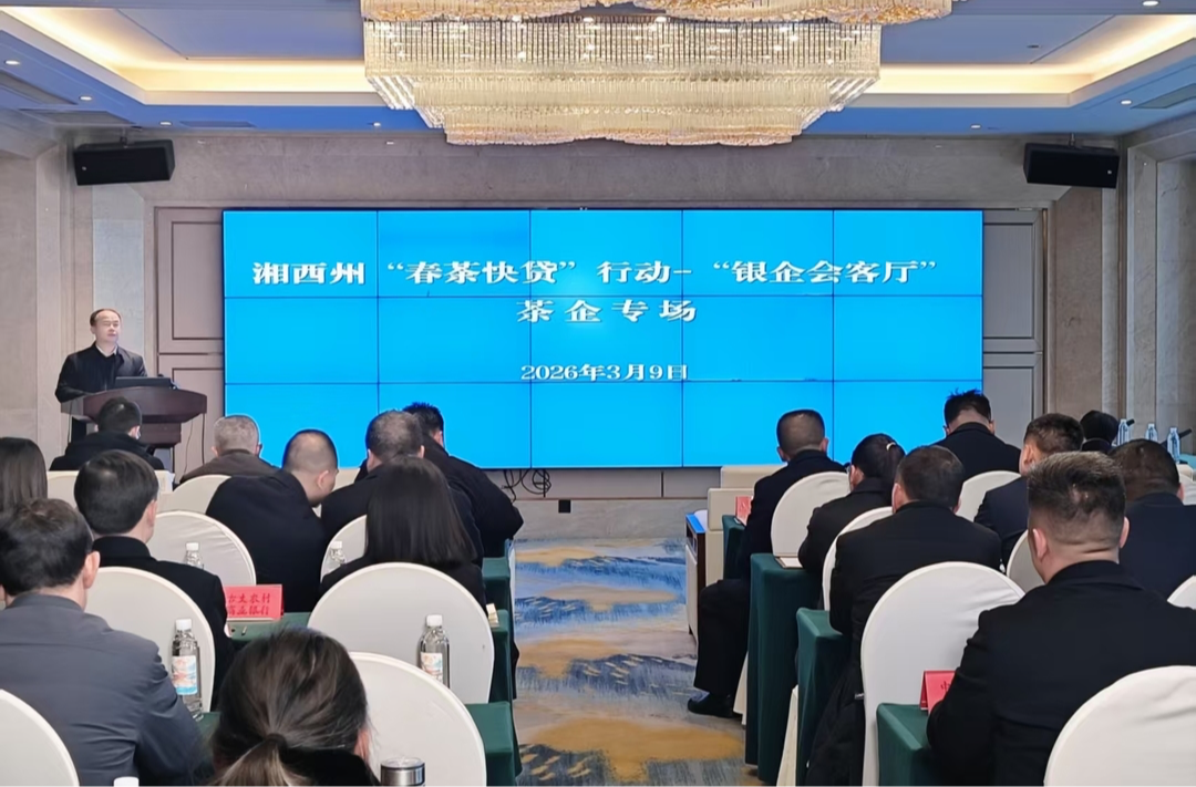 精准滴灌春茶季 湘西州“银企会客厅”专场活动举行
