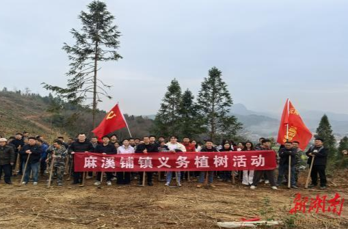 既添绿更致富——沅陵麻溪铺镇义务植树一举多得