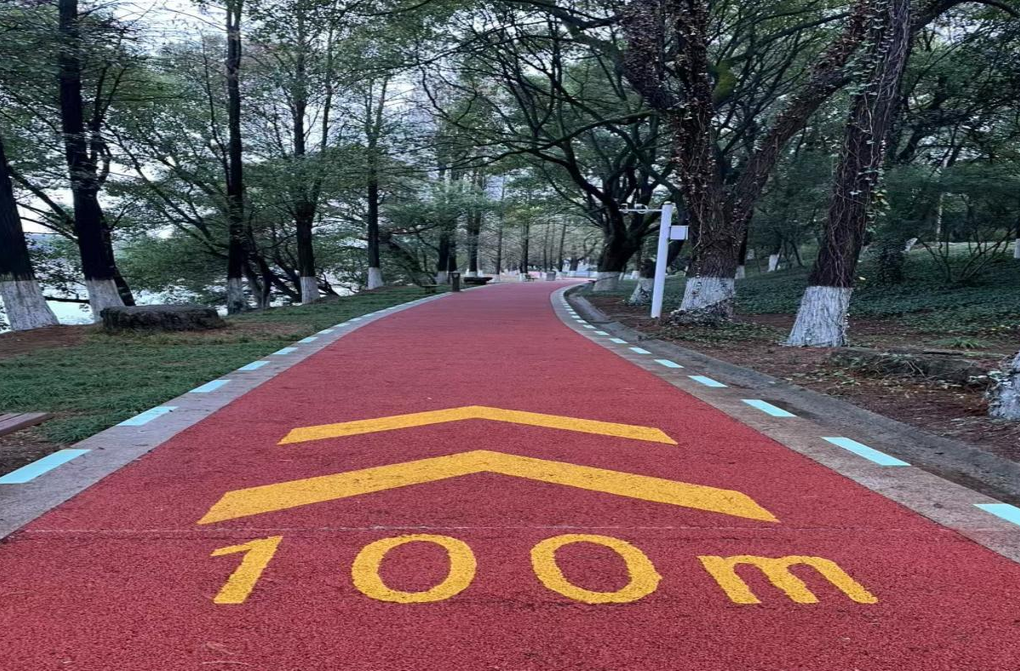 南湖踏青庆佳节！衡阳市五中举办庆“三八”南湖公园徒步活动