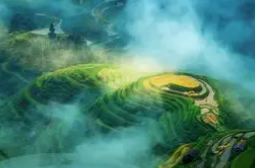 两会第一观察｜从生态环境法典草案，感悟习近平生态文明思想的人民性和实践性