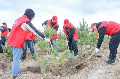 一图读懂｜义务植树8种方式拿证书