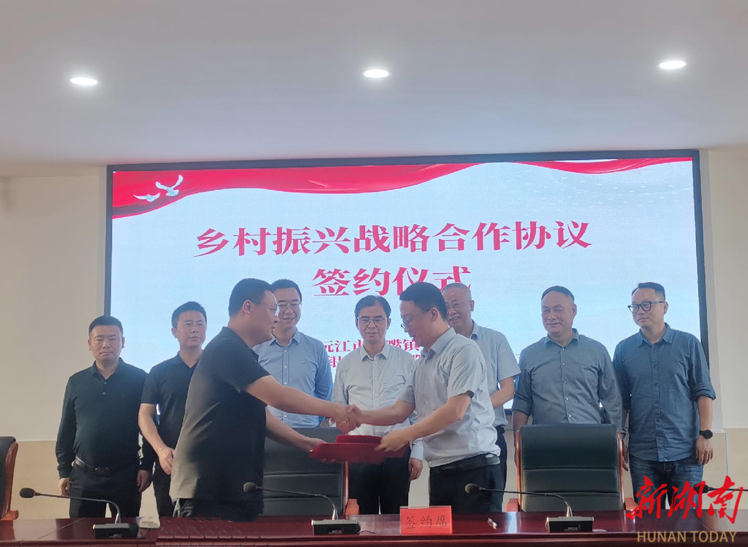 4年投放超6亿！益阳“侨银联动”再升级，乡村振兴添活水