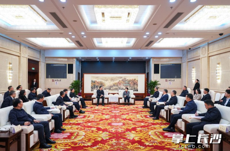 武汉市党政代表团来长考察 盛阅春吴桂英会见交流