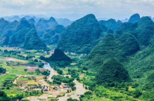 近镜头｜总书记在全国两会反复强调保护改善生态环境