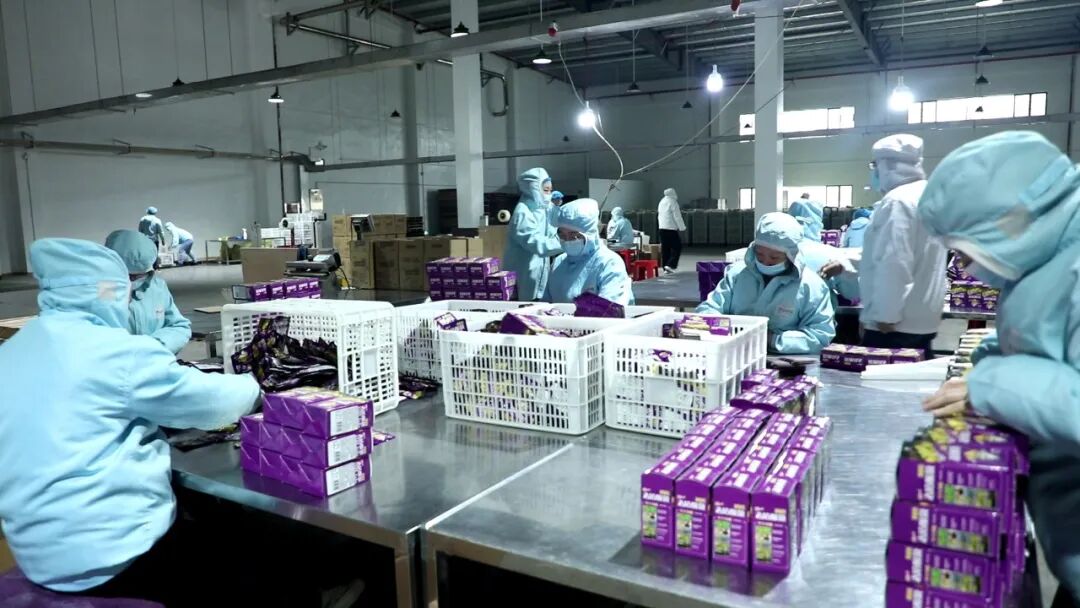 安乡津山口福：酱菜飘香产销旺 产能提速拓市场