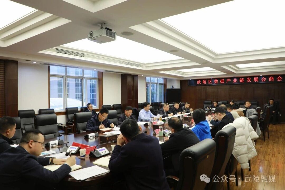 武陵区集中会商数据产业链发展