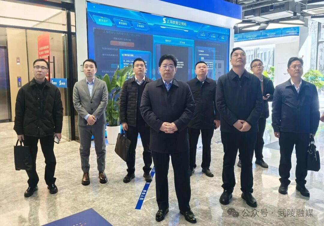 武陵区：康少中率团赴上海数据交易所考察调研