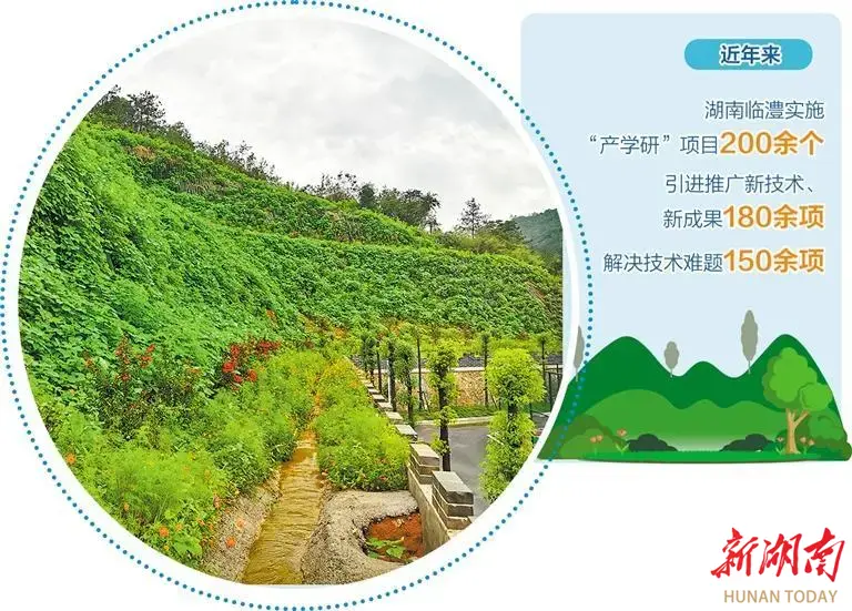 国家创新型县建设结硕果 临澧“科技+”赋能绿色发展