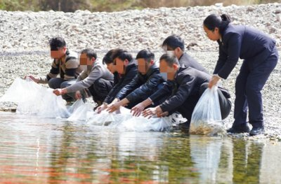 沅陵：一亿粒优质银鱼卵投放岩屋潭水库