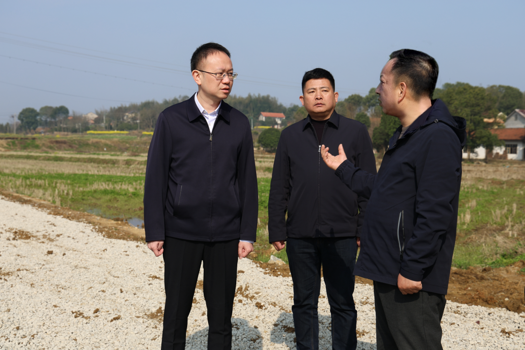 津市：彭子晟调研农业农村工作