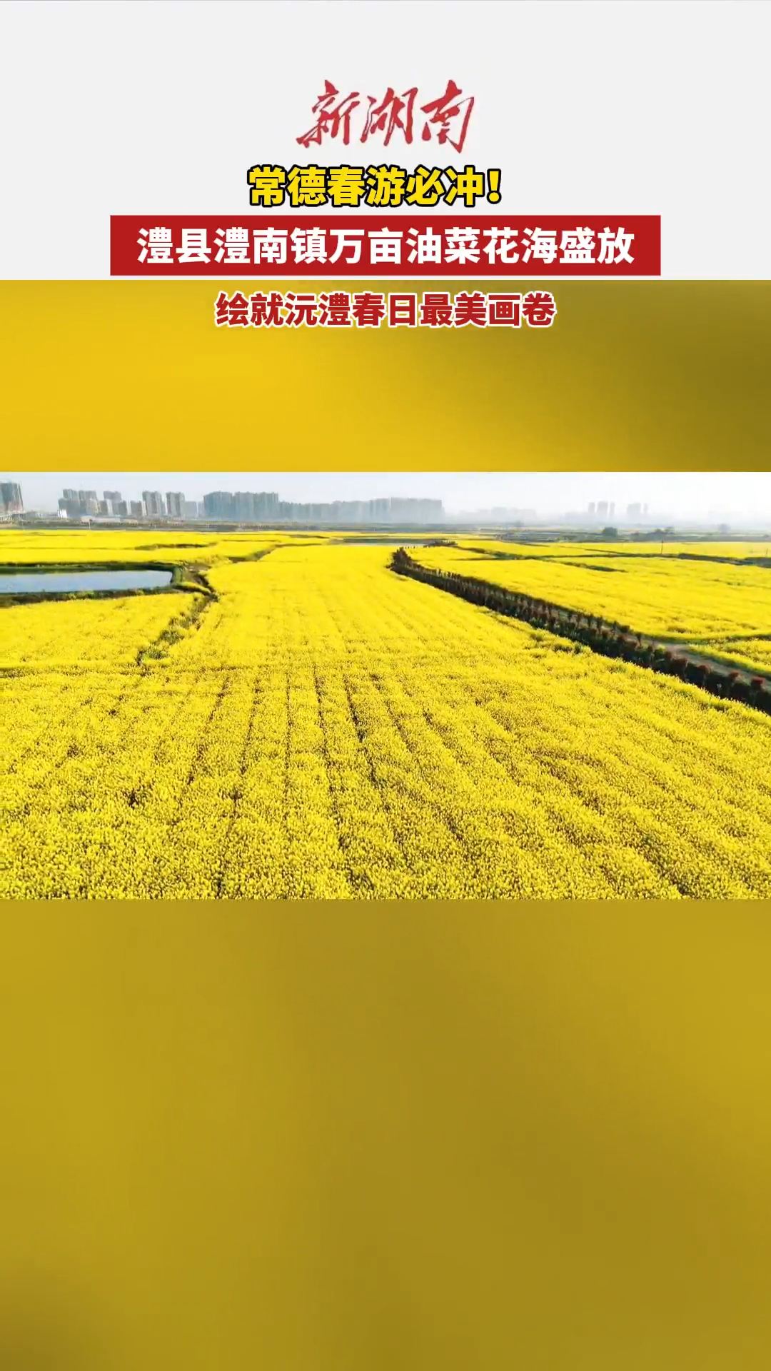  常德春游必冲！澧县澧南镇万亩油菜花海盛放