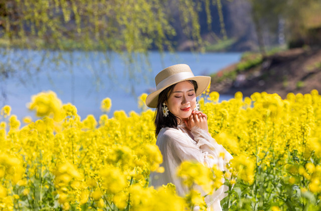 图片新闻│洪江区滩头村：油菜花开满眼春